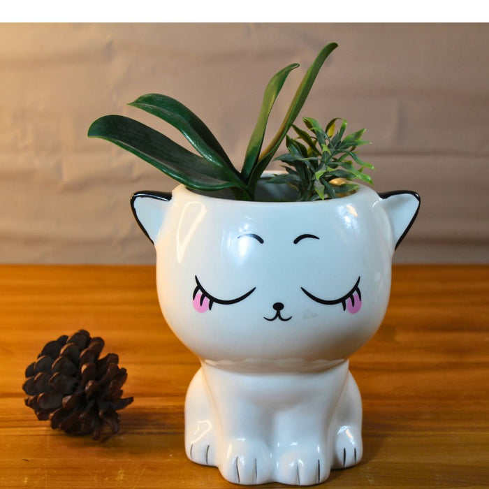 Wonderland Cat Succulent Plant Pot, Decorative Ceramic Home Garden Planter with Cute Cat Expressions Printed -02
