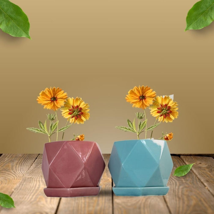 Wonderland Ceramic Dimond desing Pot For Garden Décor & Home décor -02