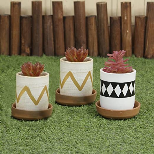 (Set of 3) Table Top Terracotta Planters with Plate for Decoration