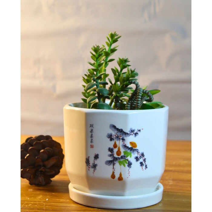 Wonderland Ceramic Plant Pots (1 pcs) with Drainage Holes & Round Plate, Round Indoor Pot for Plants Ceramic Planters with Saucer- 11