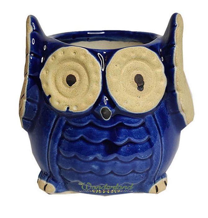 Owl Ceramic Planter (Blue) for Home Decor