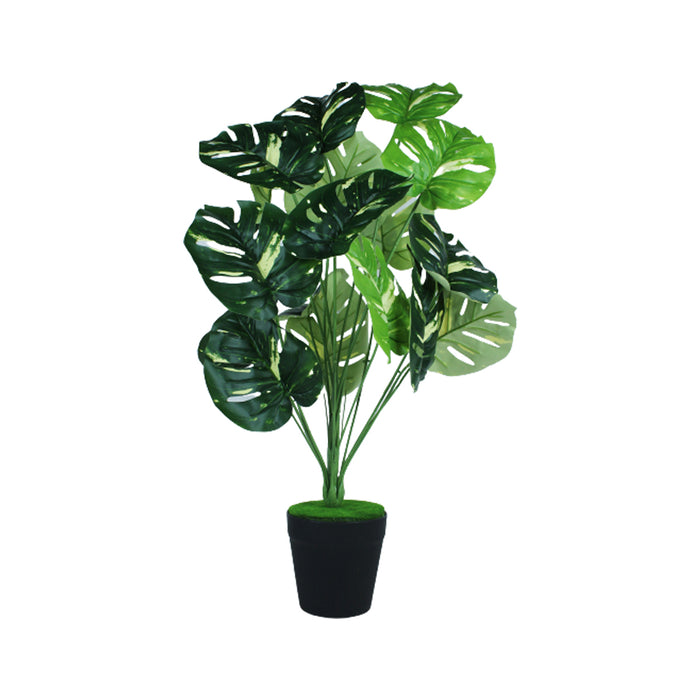 Artificial Turtle Back Plant with Pot for Indoor and Outdoor
