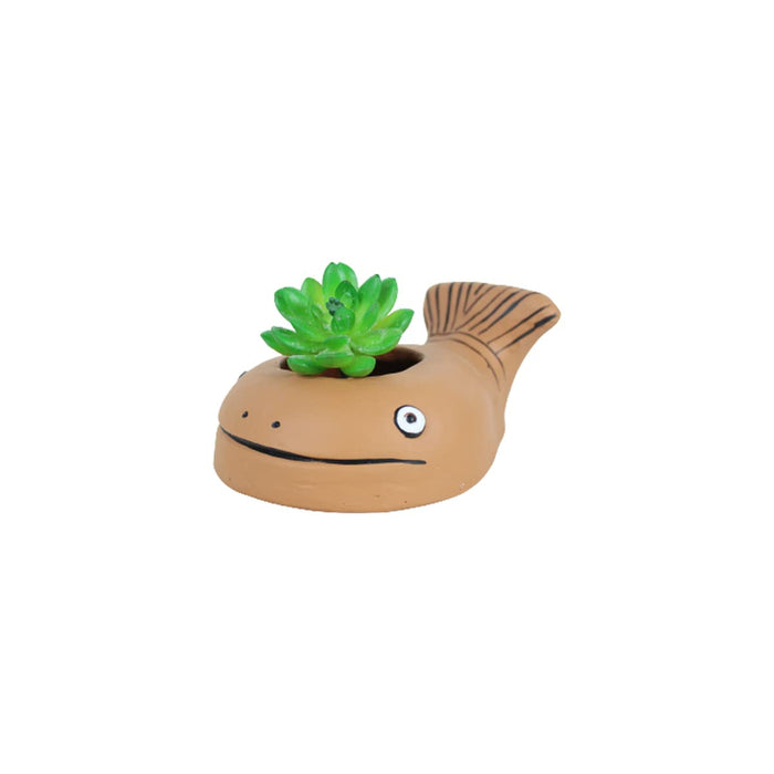 Terracotta Fish Pot for Small Plants & Succulents
