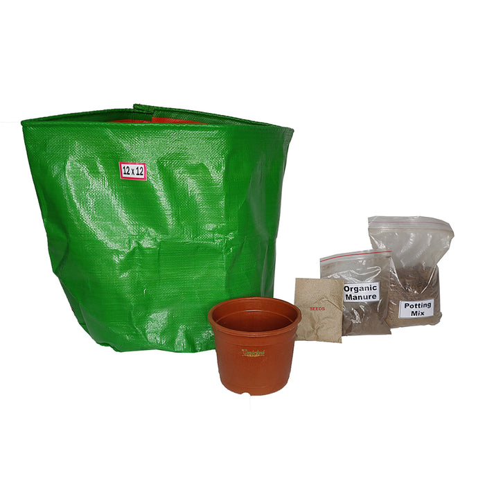 Grow Yourself Vegetables fror you home Starter DIY kit - Bottle Gourd/Louki