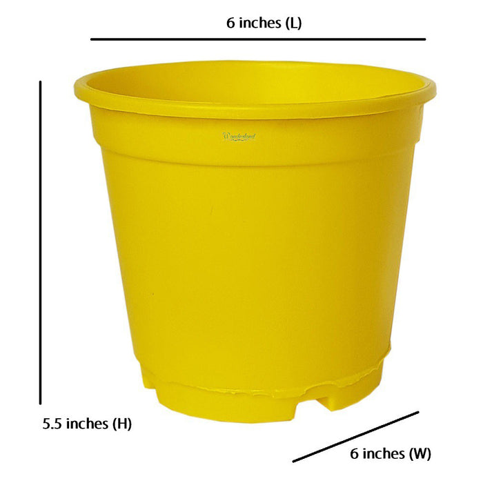 6 inch Set of 4 Small plastic pots for Outdoors ( Plastic Pots for Home Plants) (Yellow)