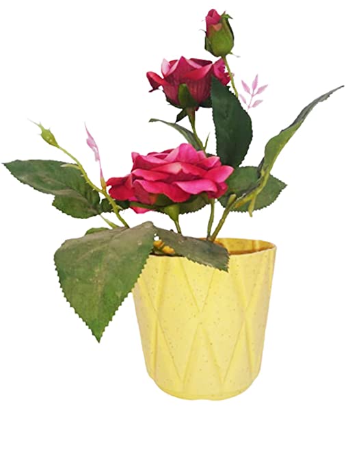 (Set of 4) 4 x 4" Solitaire Pot for Home Garden, Beige