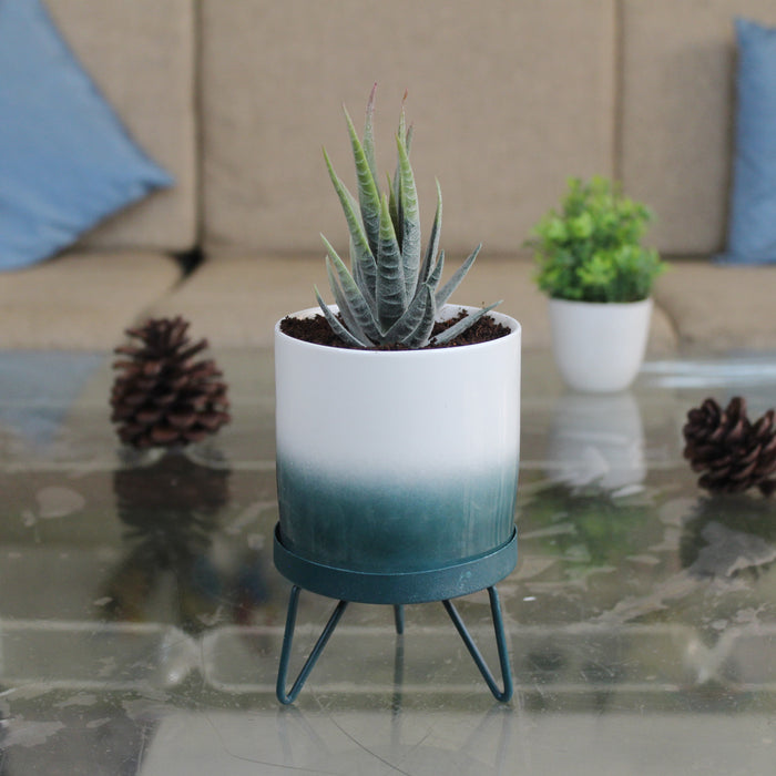 Dark Green  flame pot with stand