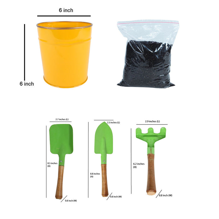 Wonderland combo DIY gardening kit (Yellow Pot with tools & soil)
