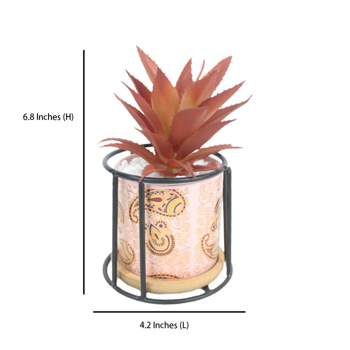 Small Marble Pink Ceramic Pot with Succulent Flower