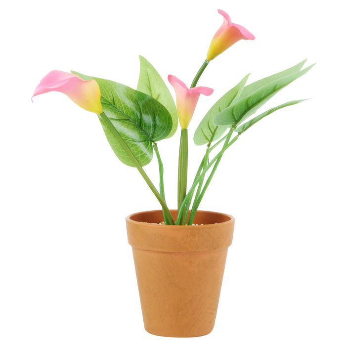 Calla Lily with Plastic pot (Set of 2) artificial flower with plastic pot and gravel
