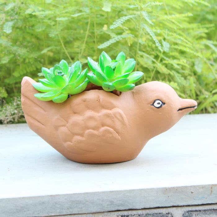 Terracotta Bird Pot for Small Plants & Succulents