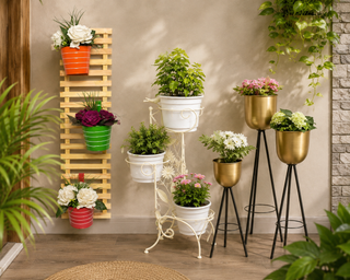Plant Stands