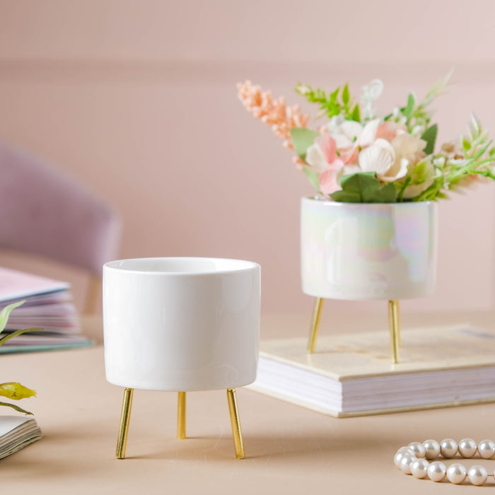 Contemporary Flower Vases for home decor