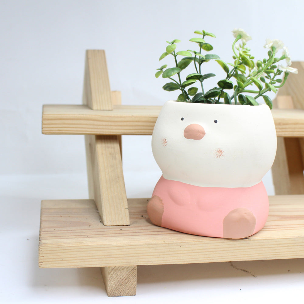 Imported Ceramic Duck Planter (Peach) |