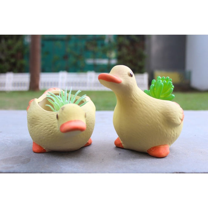 Wonderland Cute Duck Shaped Ceramic Succulent Planters/Flower Pots (Set of 2) for Home and Garden Decor