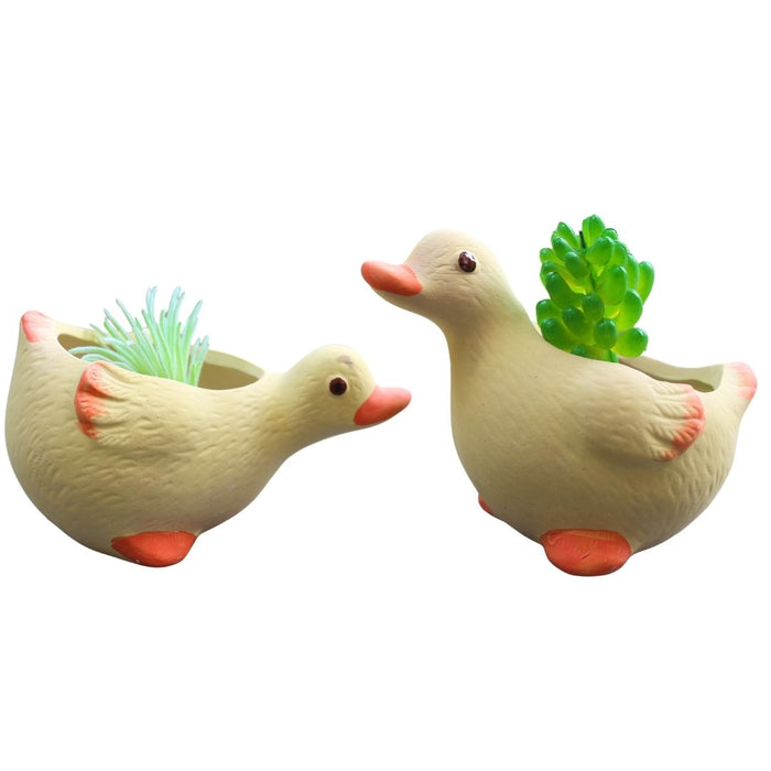 Wonderland Cute Duck Shaped Ceramic Succulent Planters/Flower Pots (Set of 2) for Home and Garden Decor
