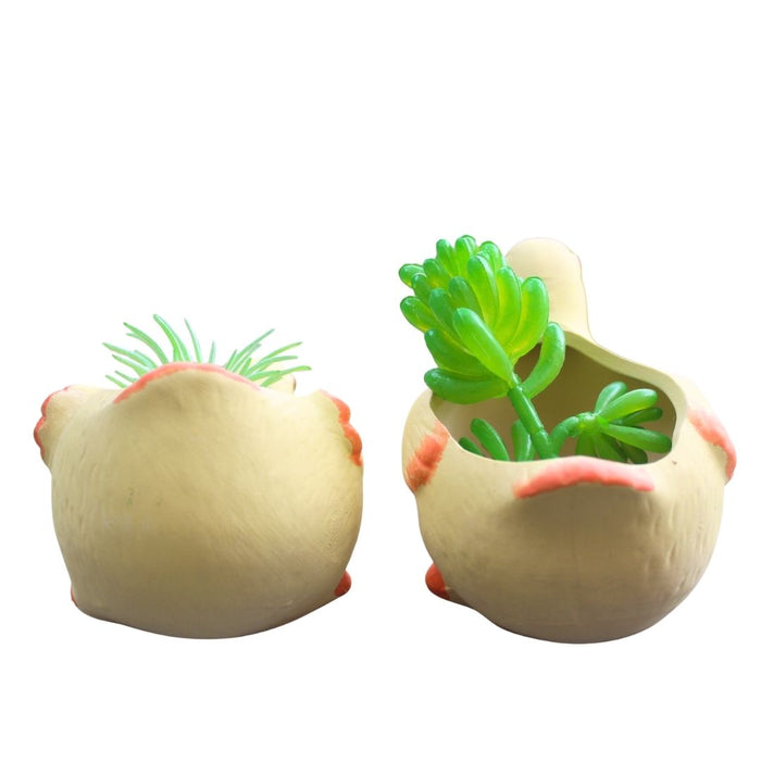 Wonderland Cute Duck Shaped Ceramic Succulent Planters/Flower Pots (Set of 2) for Home and Garden Decor