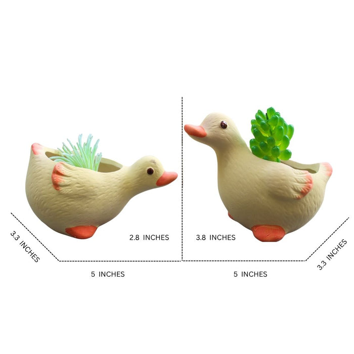Wonderland Cute Duck Shaped Ceramic Succulent Planters/Flower Pots (Set of 2) for Home and Garden Decor