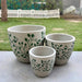 Terracotta Set of 3 planter- small , big medium