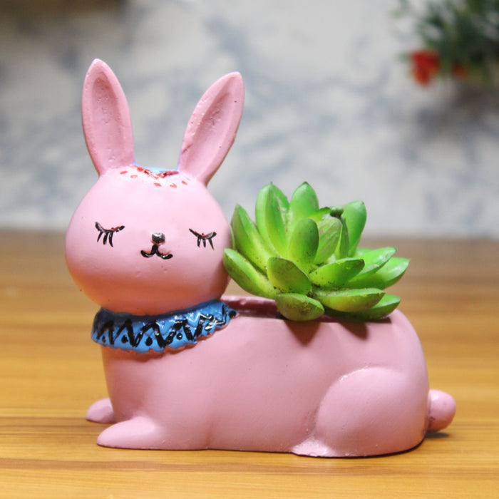 Wonderland Cute Kitty Succulent