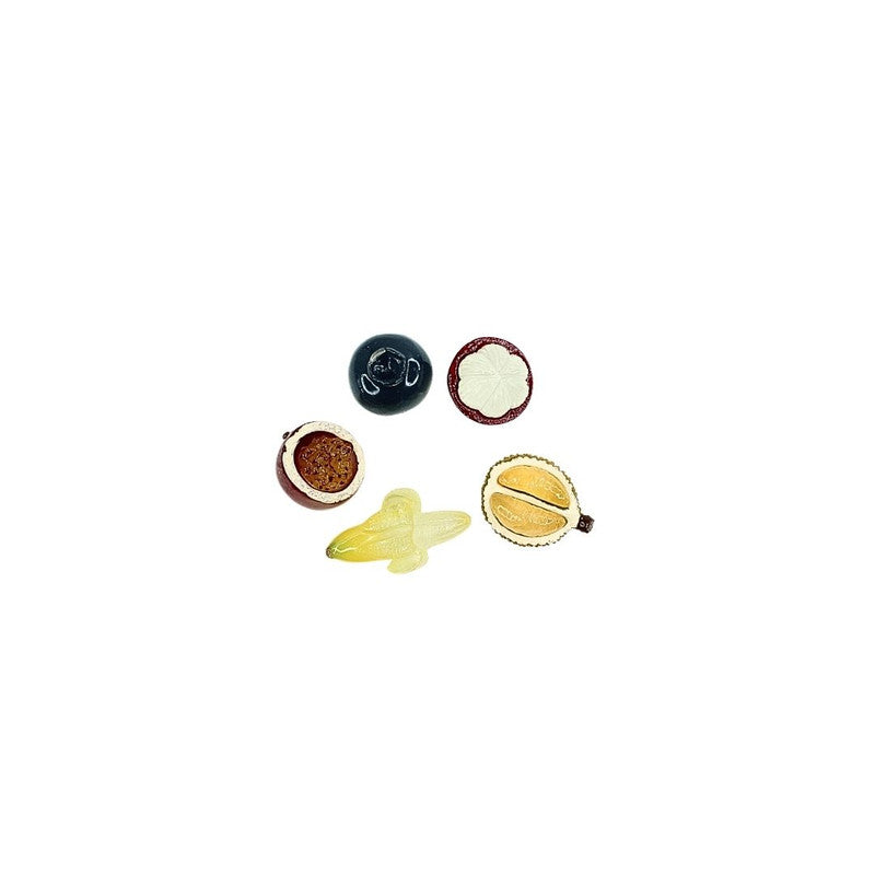 Wonderland Exotic Fruit  Miniature set |Resin mini fake food toy set | Doll House accessories | Fruit models for Craft supplies, education purpose