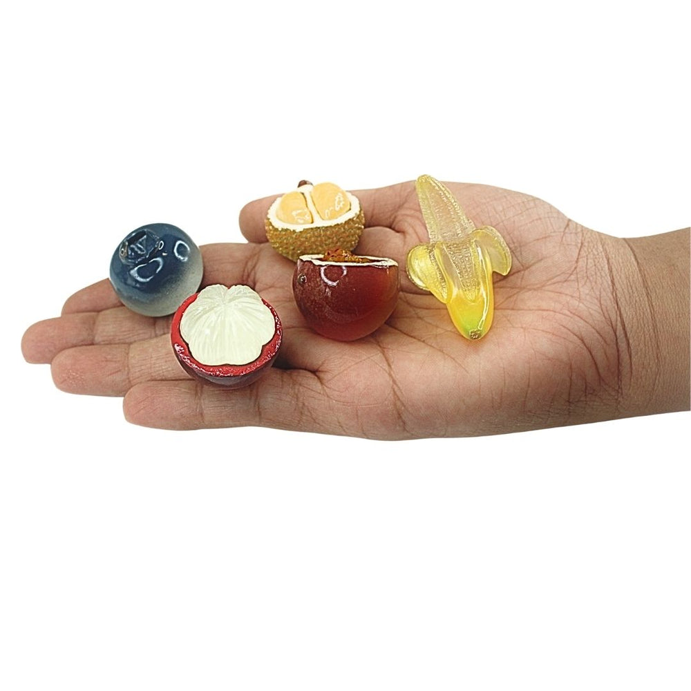 Wonderland Exotic Fruit  Miniature set |Resin mini fake food toy set | Doll House accessories | Fruit models for Craft supplies, education purpose