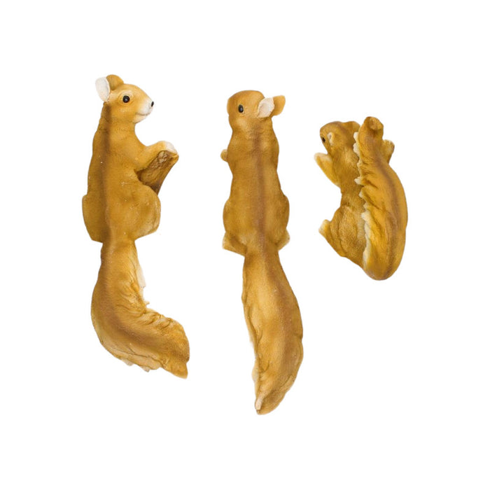 Wonderland set of 3 wall squirrel