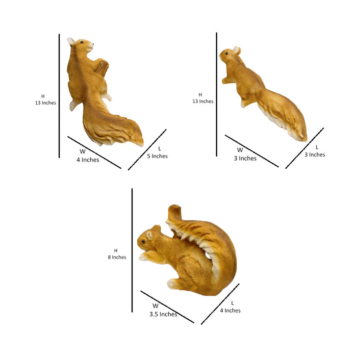 Wonderland set of 3 wall squirrel