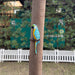 Vibrant blue and yellow macaw parrot wall decor for outdoor garden and home patio.