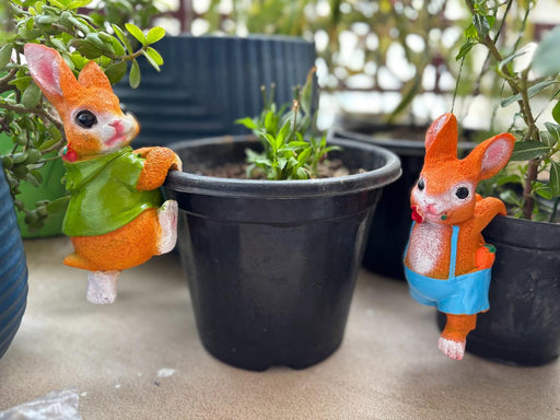 Two orange resin bunny rabbit pot hangers climbing on black plastic garden pots, one wearing a green hoodie and one in blue overalls.