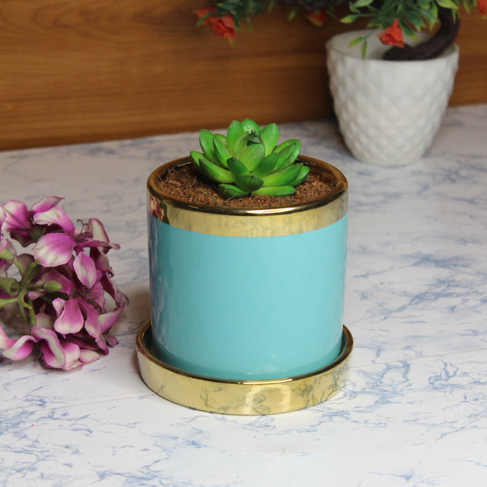 Wonderland blue ceramic flower pot for real plants with golden plate