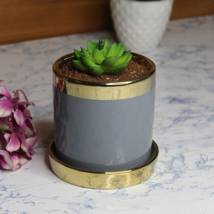 Wonderland grey ceramic flower pot for real plants with golden plate