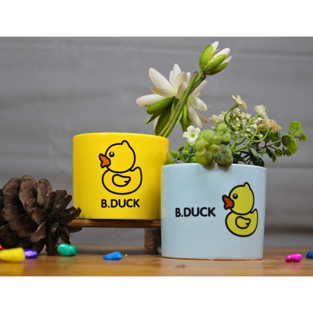 Ceramic Cute Ducks Print Pot For Garden Décor & Home décor -02