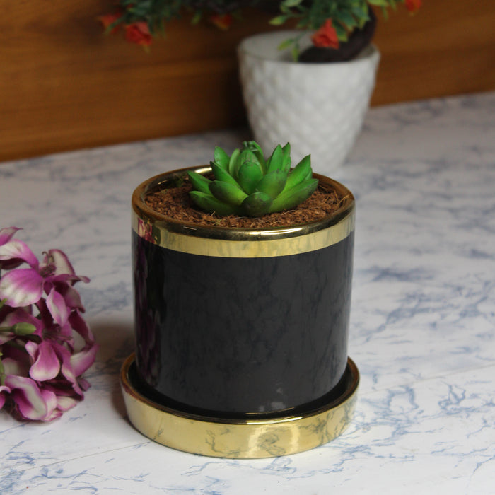 Wonderland black ceramic flower pot for real plants with golden plate