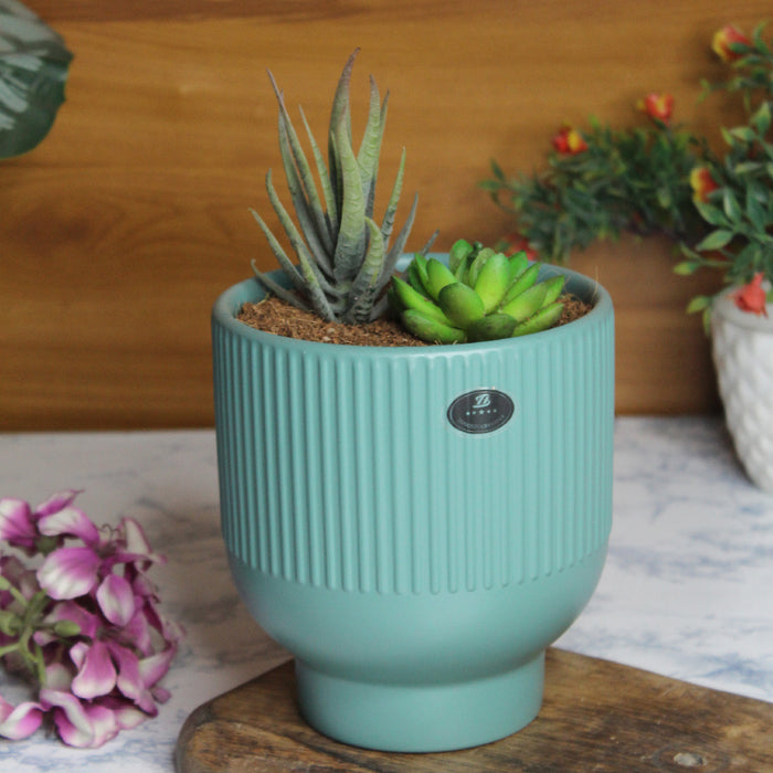 Wonderland blue fluted ceramic pots for real plants