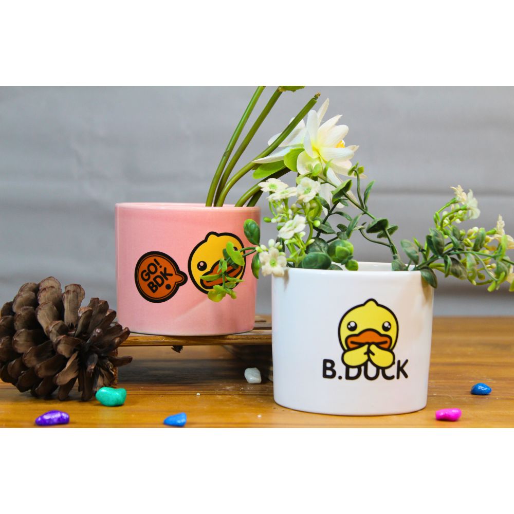 Ceramic Cute Ducks Print Pot For Garden Décor & Home décor -01