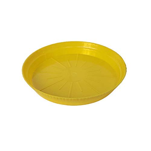 Wonderland (Pack of 6, 8 inch Plant Saucer,Durable Plant Tray Flower Pot Saucer Round Pallets for Indoors and Outdoor, Plant Container Accessories (Yellow)