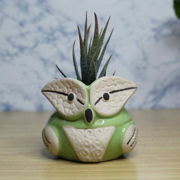 New Owl Ceramic Pot for Home and Garden Decoration (Green)