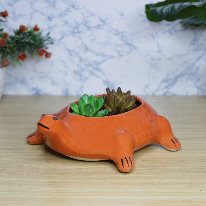 Turtle Ceramic Pot for Home and Balcony Decoration (Orange)