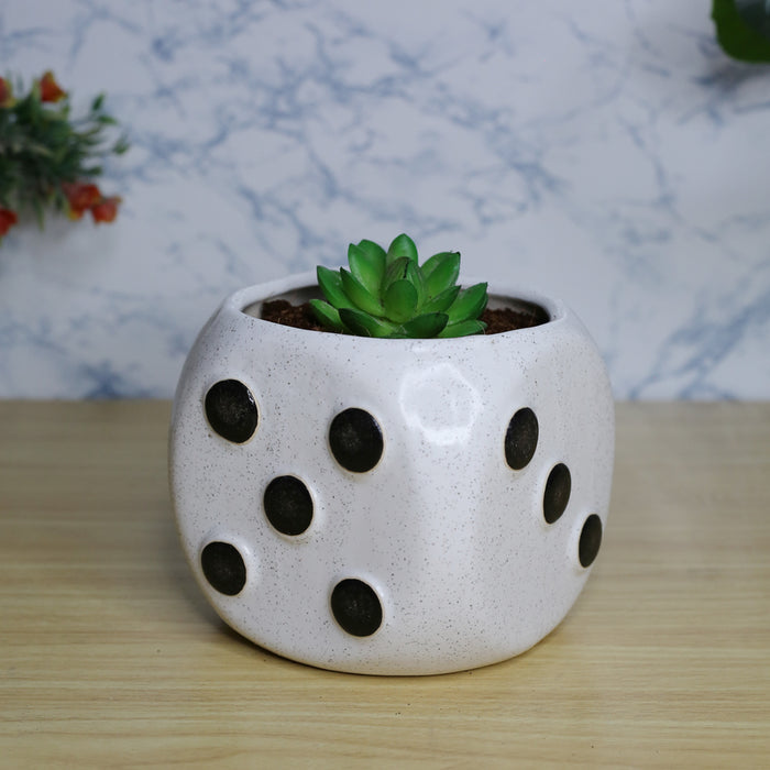 Dice Ceramic Planter for Home and Garden Decoration (White)