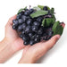 Set of 6 Artificial Black Grape Clusters with Green Leaves: