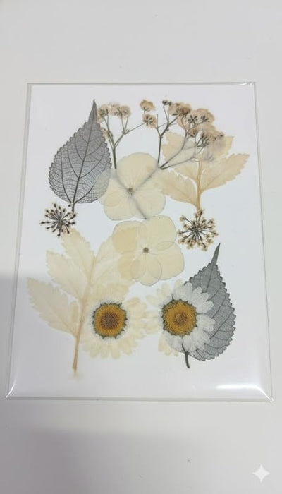 Wonderland set of 6 Dried & Pressed Natural Botanicals | Daisy & Skeleton Leaf Assortment for Resin, Art, and Crafts