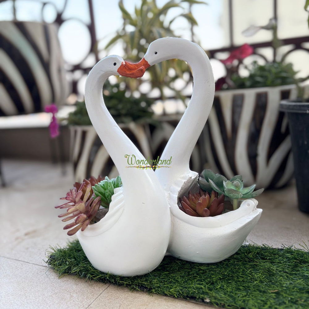 Wonderland Love Swan Couple Showpiece / Planter / Flower Pot for Home Decor, Living Room, Gifting, Anniversary