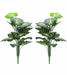 Set of 2 green pothos plants, real indoor money plants with long leaves.