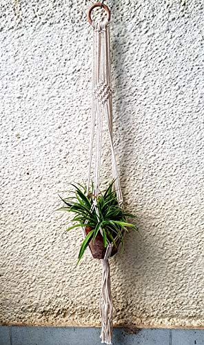 Wonderland Hanging Macrame Planters