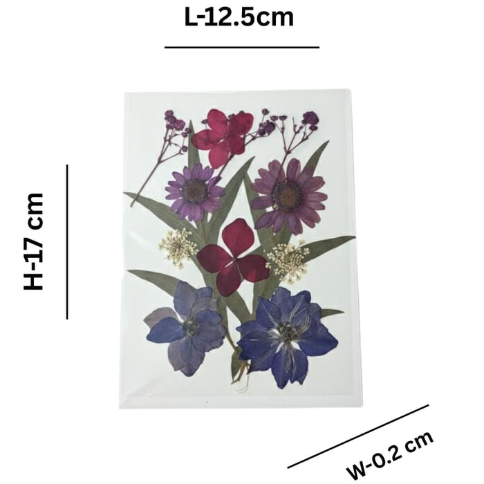 Wonderland Handmade Pressed Flower Greeting Cards - Set of 6 Unique Botanical Art Notes