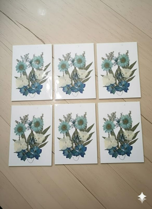 Wonderland Handmade Pressed Flower Art Cards - Blue & White Floral Stationery Set (Set of 6)