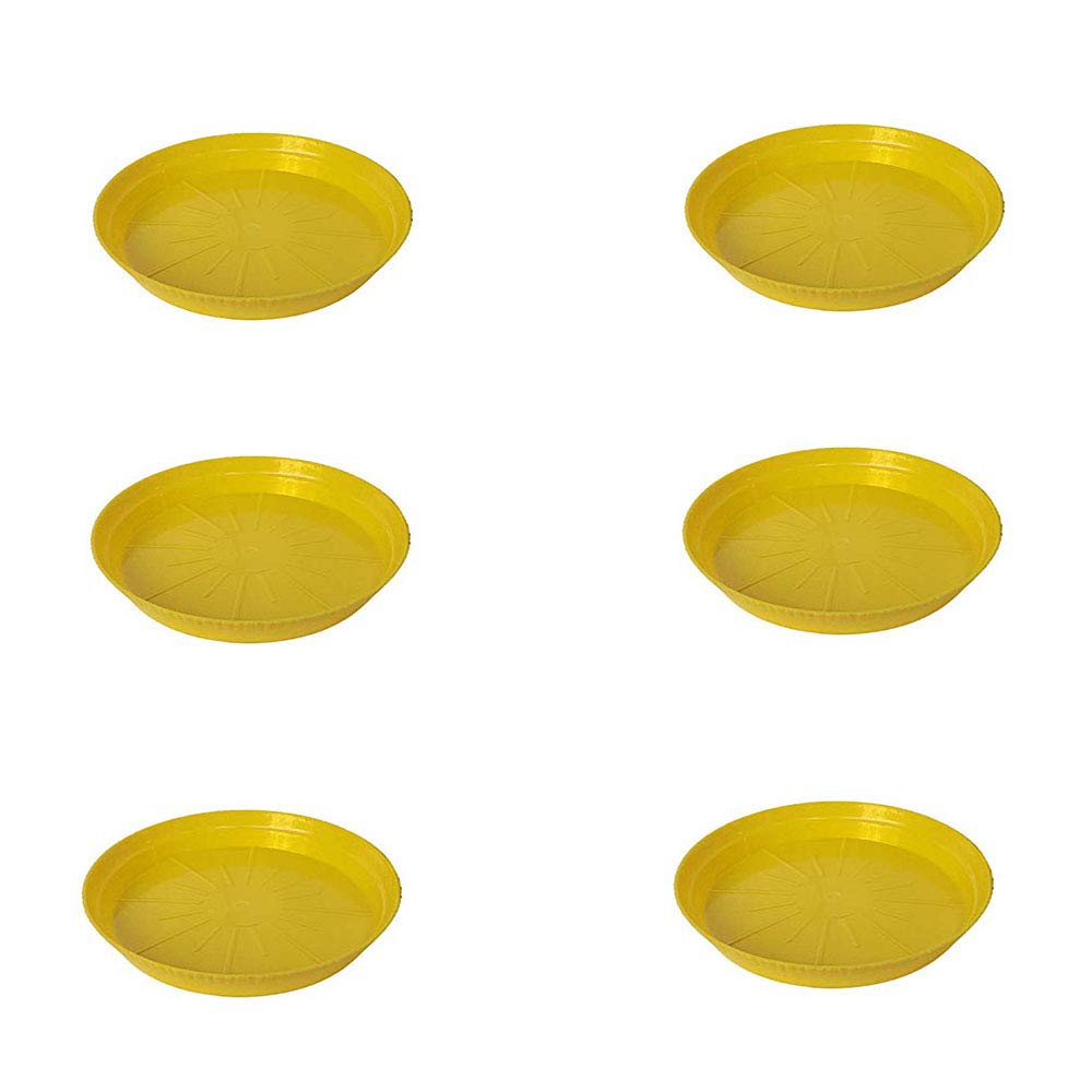 Wonderland (Pack of 6, 8 inch Plant Saucer,Durable Plant Tray Flower Pot Saucer Round Pallets for Indoors and Outdoor, Plant Container Accessories (Yellow)