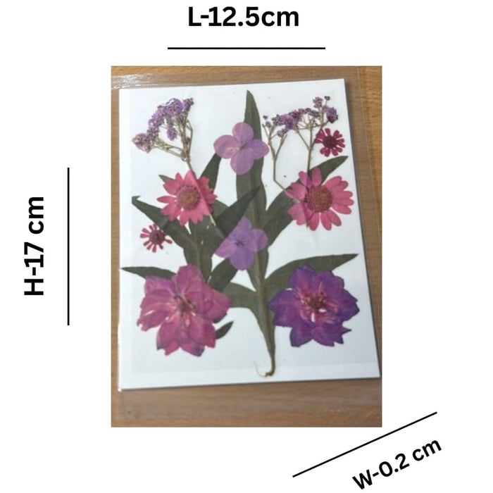 Wonderland set of 6 Handcrafted Purple & Pink Pressed Flower Botanical Card / Art Print - Natural Floral Keepsake