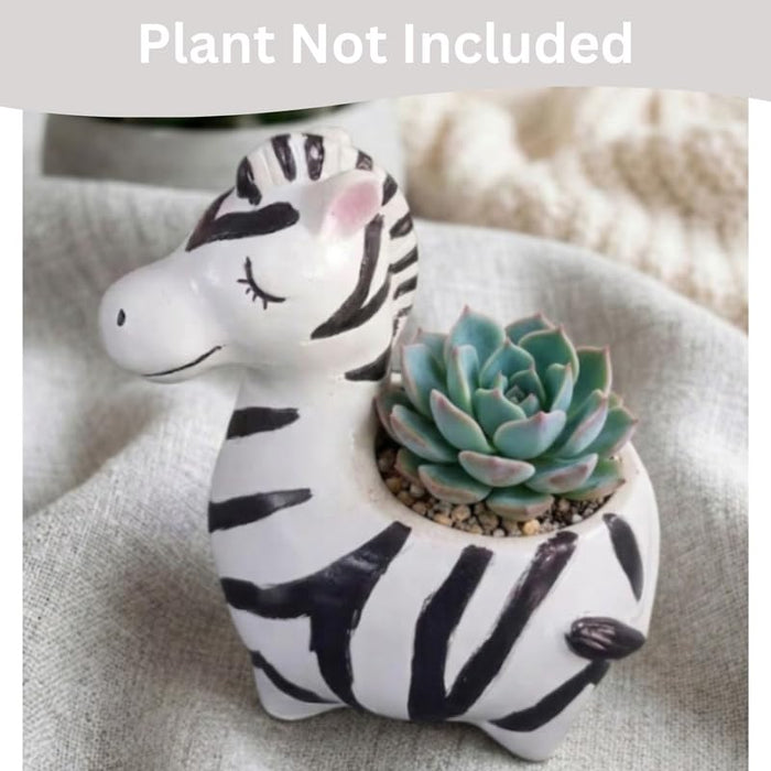 Wonderland 6 inch Hand-Painted Zebra Ceramic Mini Planter – Decorative Succulent Pot for Desk, Nursery, and Home Décor-5x2.5x6inch(Plant Not Included)